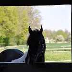 Tinyhouse Zirkuswagen- Kotten Kunterbunt * ノットウルン