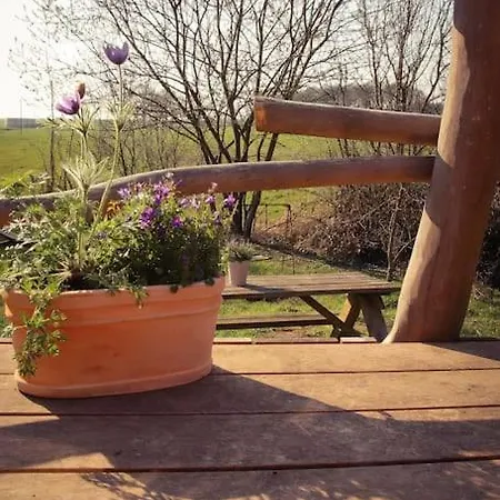 Tinyhouse Zirkuswagen- Kotten Kunterbunt