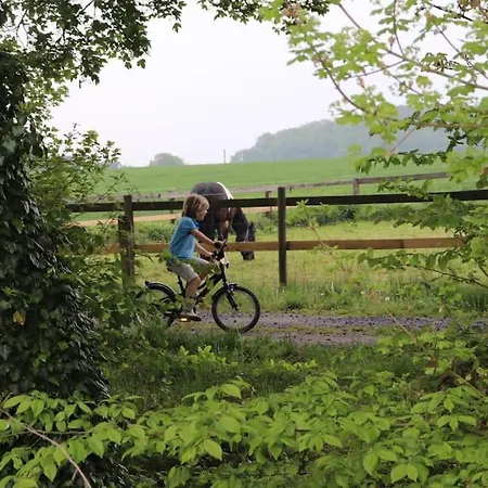 Tinyhouse Zirkuswagen- Kotten Kunterbunt