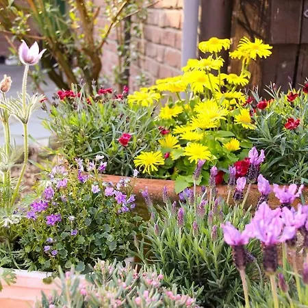 Tinyhouse Zirkuswagen- Kotten Kunterbunt ノットウルン