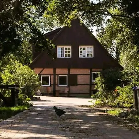 Tinyhouse Zirkuswagen- Kotten Kunterbunt * Nottuln