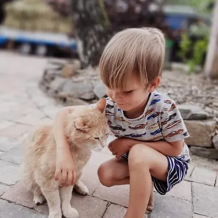 Tinyhouse Zirkuswagen- Kotten Kunterbunt Nottuln