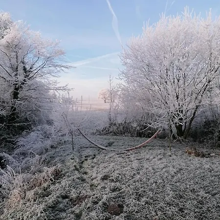 Tinyhouse Zirkuswagen- Kotten Kunterbunt * Nottuln