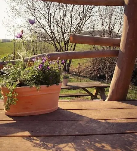 Tinyhouse Zirkuswagen- Kotten Kunterbunt