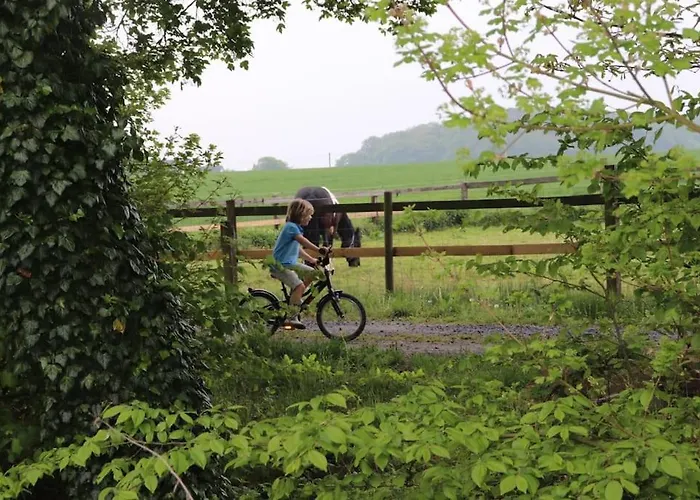 Tinyhouse Zirkuswagen- Kotten Kunterbunt