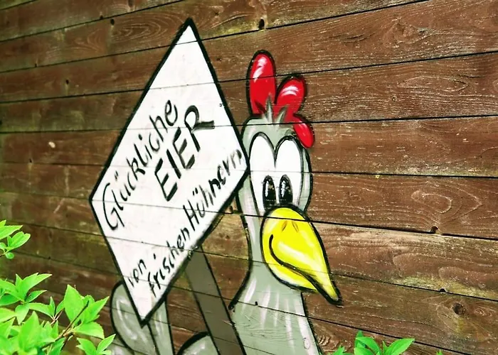 Tinyhouse Zirkuswagen- Kotten Kunterbunt Dom wakacyjny Nottuln