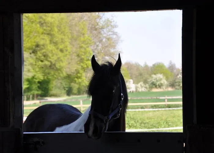 Tinyhouse Zirkuswagen- Kotten Kunterbunt * 诺图尔恩