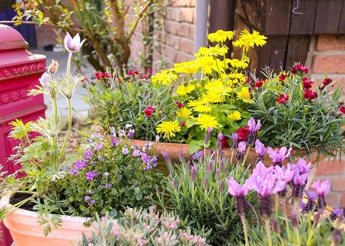 Tinyhouse Zirkuswagen- Kotten Kunterbunt Nottuln