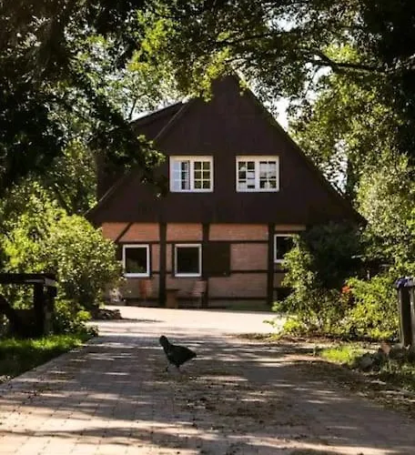 Tinyhouse Zirkuswagen- Kotten Kunterbunt * Nottuln