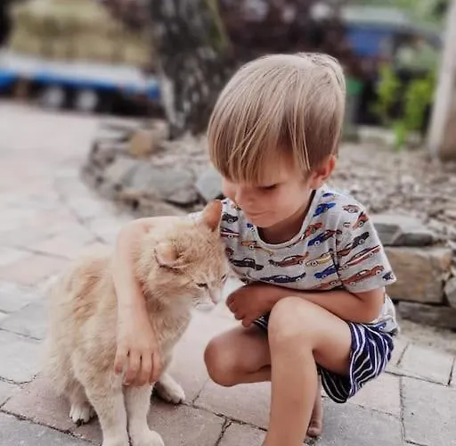 Tinyhouse Zirkuswagen- Kotten Kunterbunt Nottuln