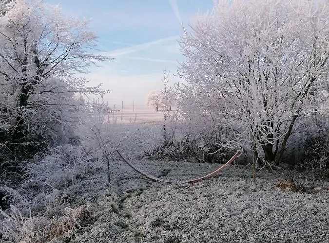 Tinyhouse Zirkuswagen- Kotten Kunterbunt * Nottuln